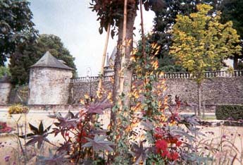 Chteau de Pompadour : mur des fosss face sud